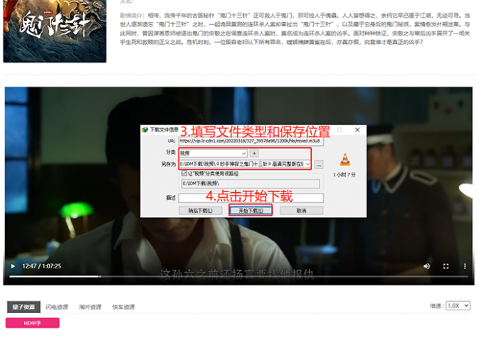 填写下载信息并开始下载