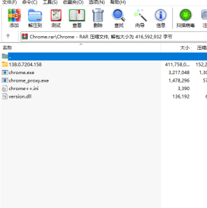 谷歌浏览器 (Chrome)便携版
